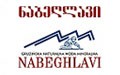 Nabeghlavi